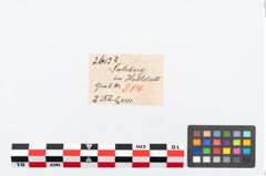 Etikett zu Bronzebrillenfibel (NHMW-PRAE-026124)